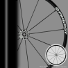 Roue Spinergy SLX
